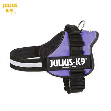 Julius K-9 Powersele Purpur  3 