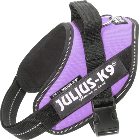 Julius K9 IDC® Hundesele PURPUR, str. M 