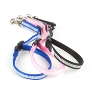 Julius K9® Grooming Loop adjustable leash 
