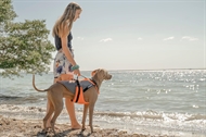 JK9® Multivest 4in1 - genoptræningssele, svømmevest, kølevest og hundejakke. 
