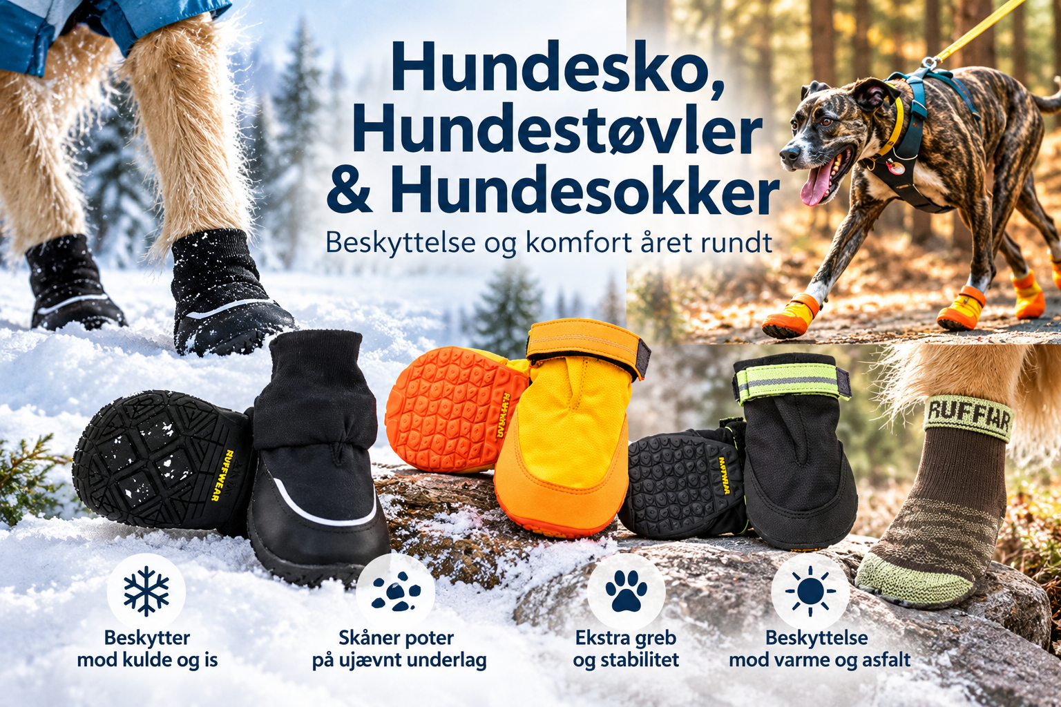 Hundesko, Hundestøvler & Hundesokker 
