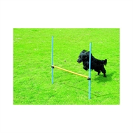 Pawise Agility Spring 