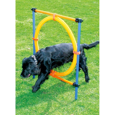 Agility Spring Med Ring Ø55cm 