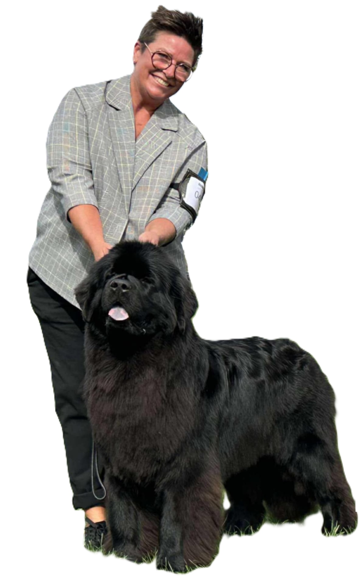 Hundeudstilling -  Udstyr og Tilbehør til Udstilling