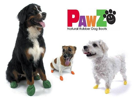 Hunde -sko, støvler & strømper  