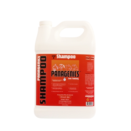 Panagenics Shampoo 3,8 L