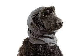 Snood Small Black Ear Covers fra Show Tech