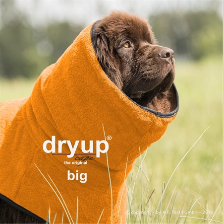 Silicon indlysende afslappet Dryup Cape Tørredragt til hunde Klementin 90 BIG