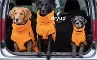 Tørre dækken til hunde Dryup Cape Klementin 