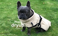 Tørre dækken til Mops & Co  Dryup Cape 