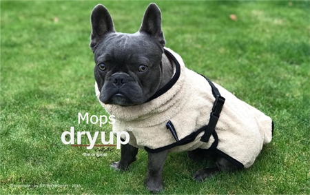 Tørre dækken til Mops & Co  Dryup Cape 