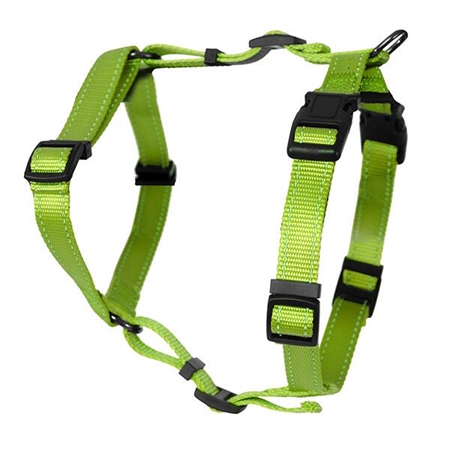 H-sele Iris  Lime 25 mm XL/XXL 
