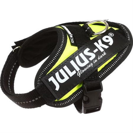 Julius K-9 Julius K9 IDC® High Visibility Hundesele UV B1