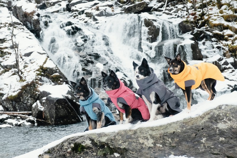 Hundedækken, Veste & Trøjer