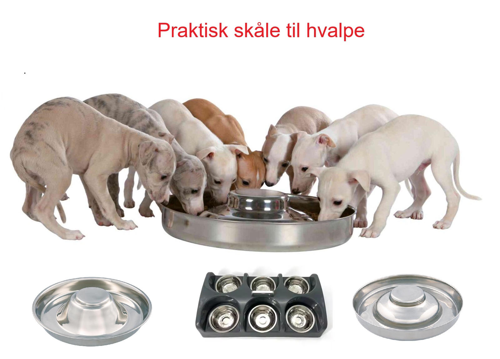 Hvalpeskåle/Bar 