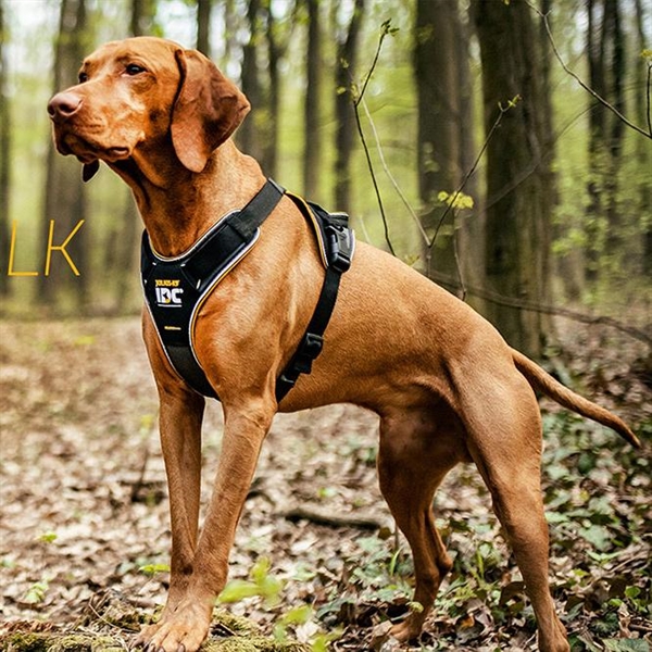 K9 IDC Longwalk hundesele