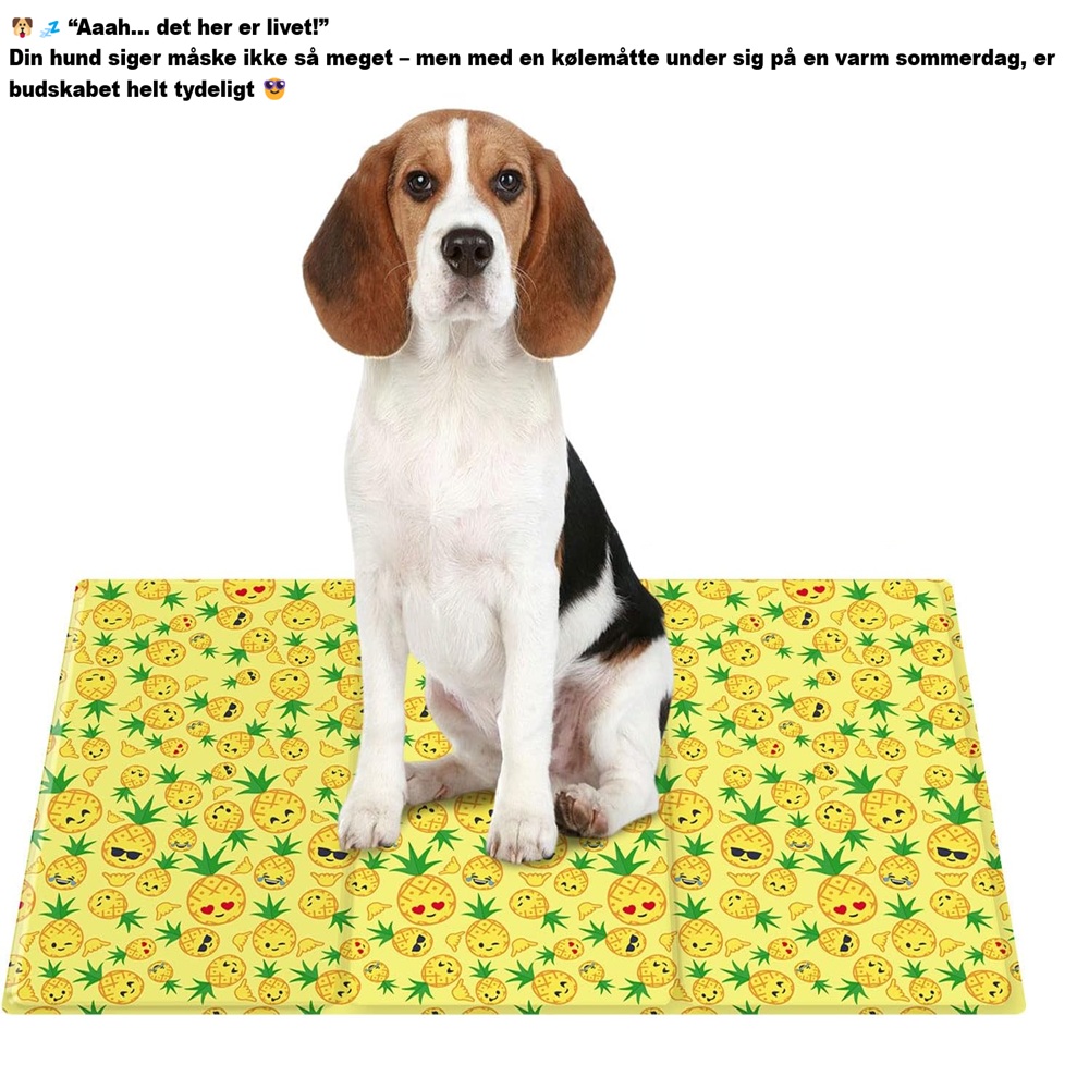 Kølemåtter til hunde