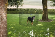 Savic Dog Park - Hvalpegård / Hundegård - 107 cm 
