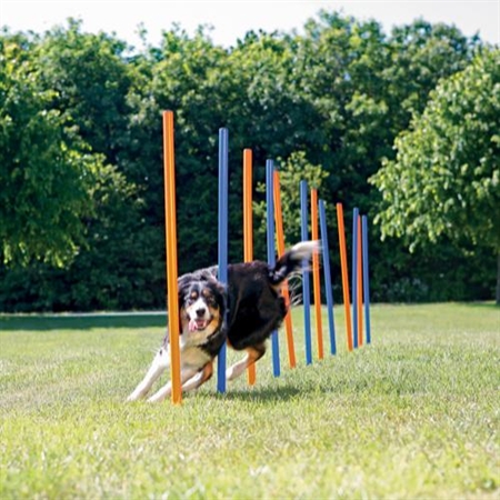 Agility