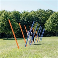 AGILITY SLALOM pinde 12 stk. H115 cm